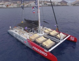 KATAMARAN FREEBIRD F15 WYBRZEŻE COSTA ADEJE 