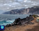 Los Gigantes 