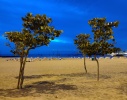 Los Cristianos 