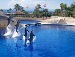 AQUALAND + JUNGLE PARK DOUBLE TICKET 