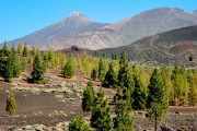 Wulkan Teide