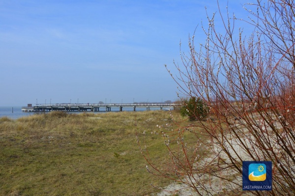 Wiosna nad zatoką.